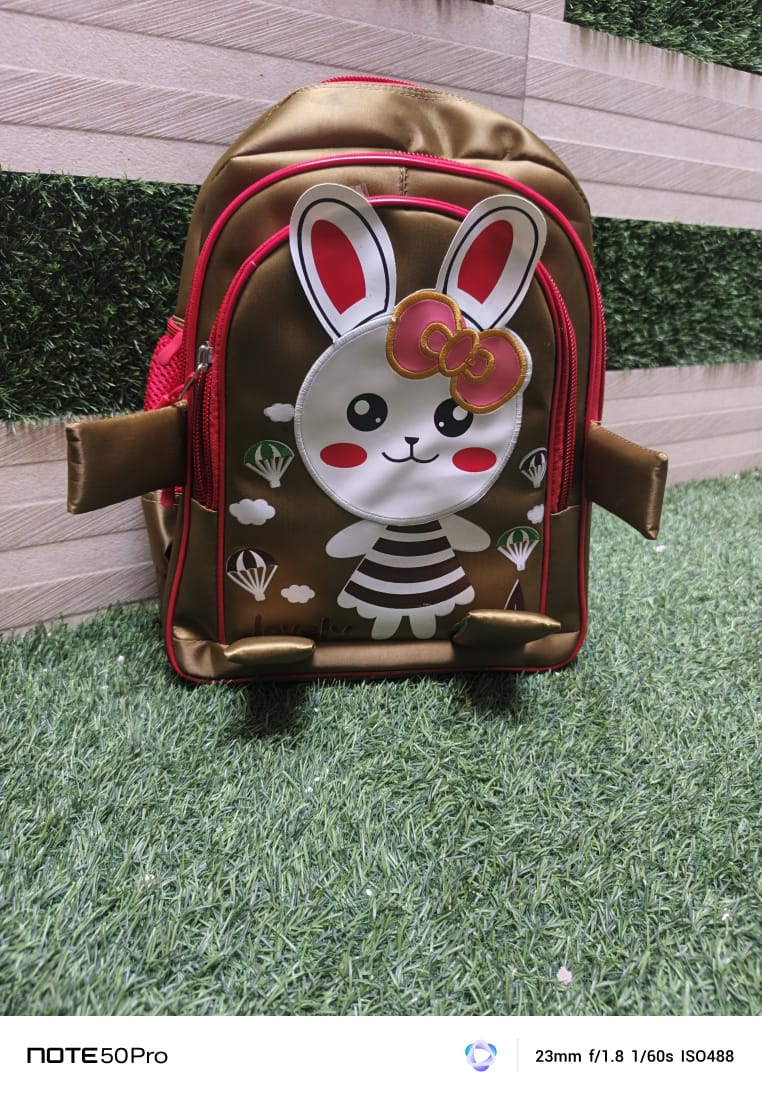 School bagpacks