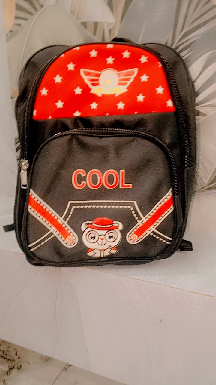 Cool bag