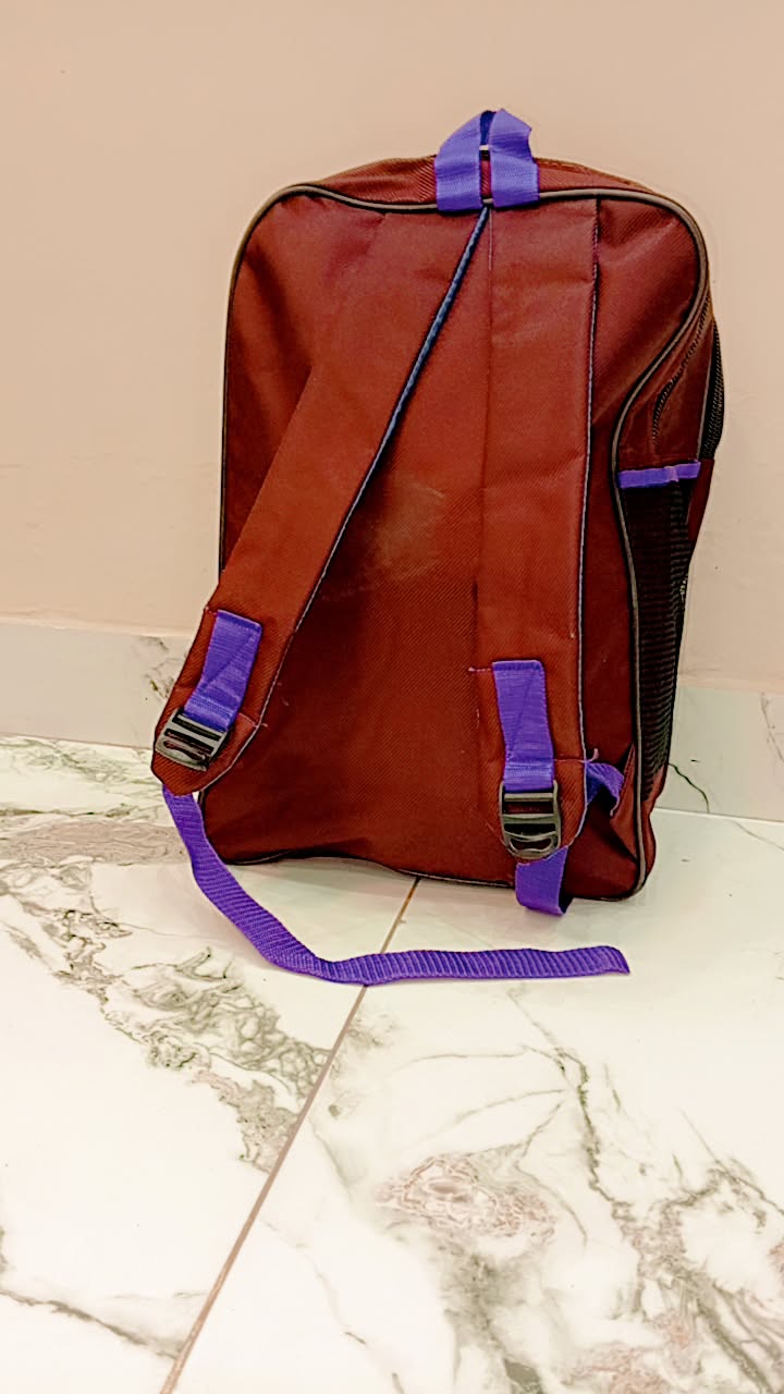 Ferrari bag